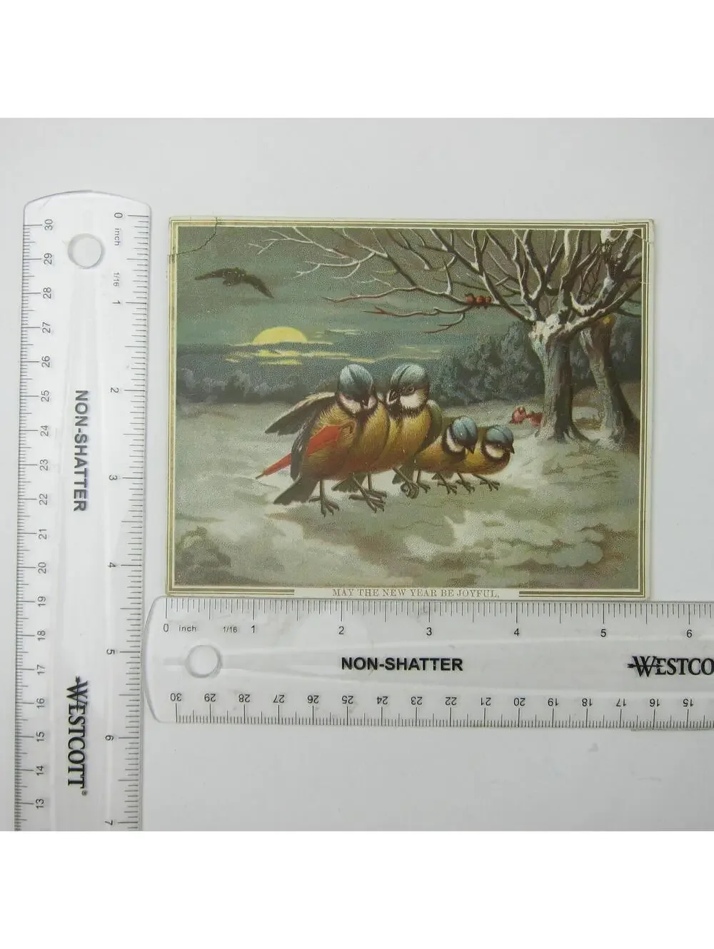 Victorian Greeting Card New Years Titmouse Birds Red Umbrella Snow Trees Antique